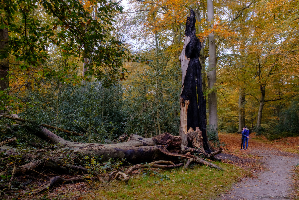 herfstwandeling Gooise Lusthoven