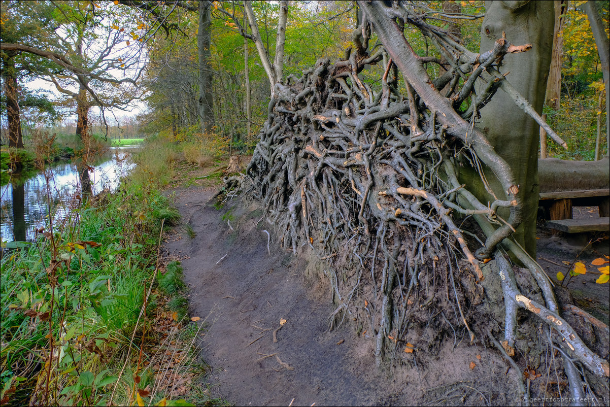 herfstwandeling Gooise Lusthoven