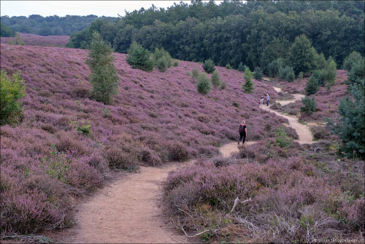 posbank heide