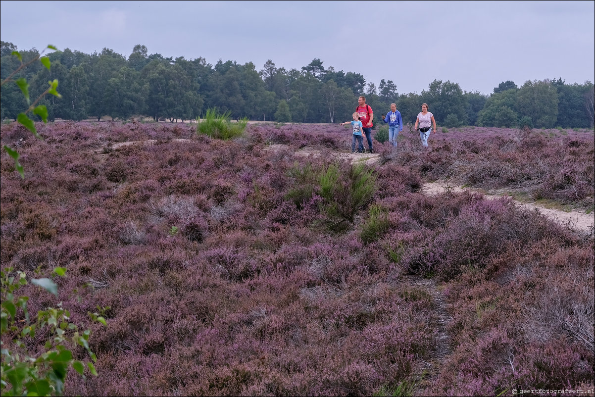 posbank heide