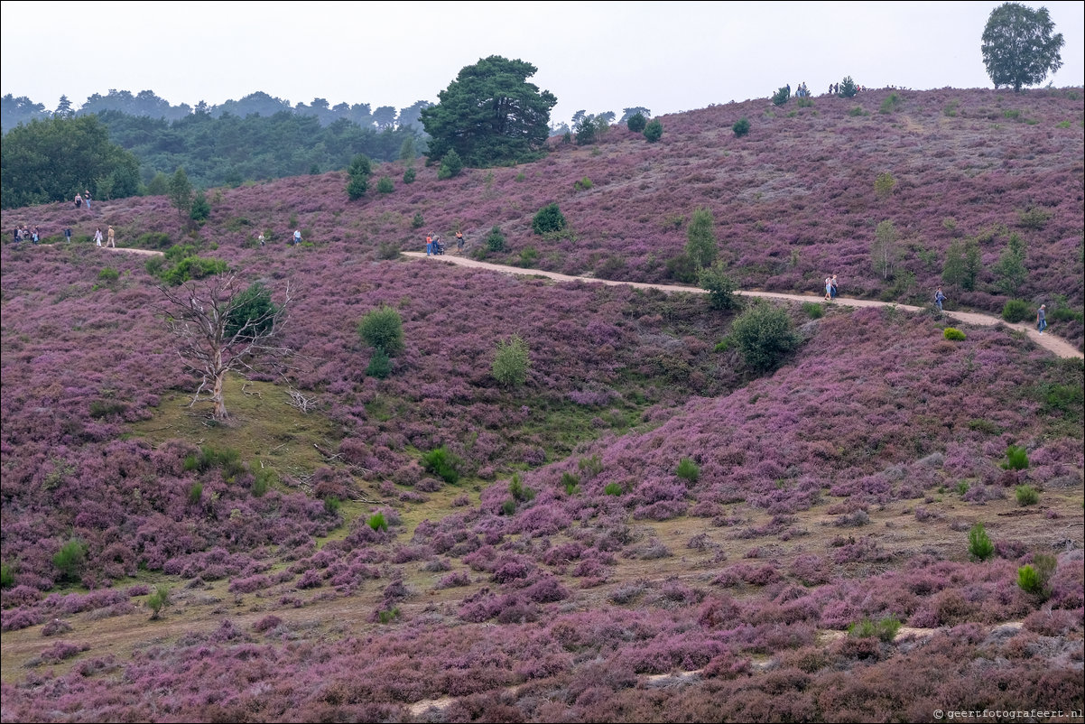 posbank heide