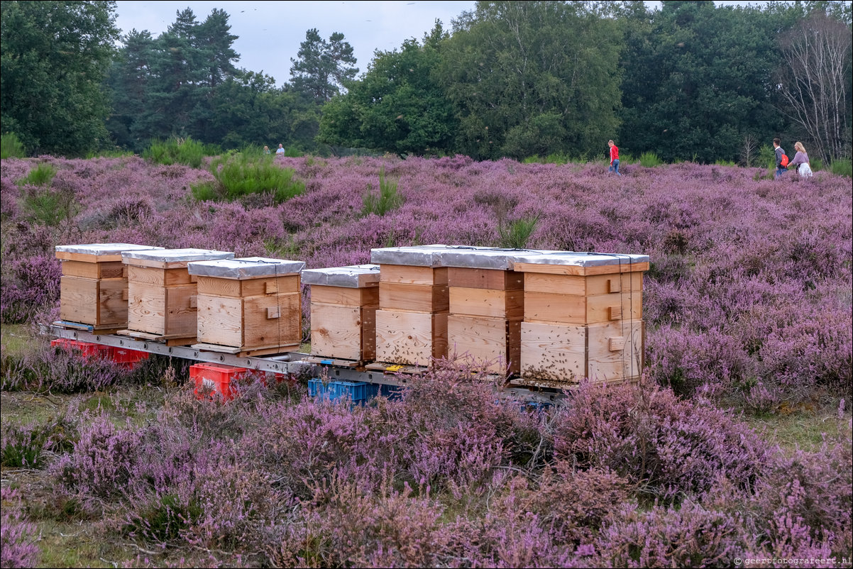 posbank heide