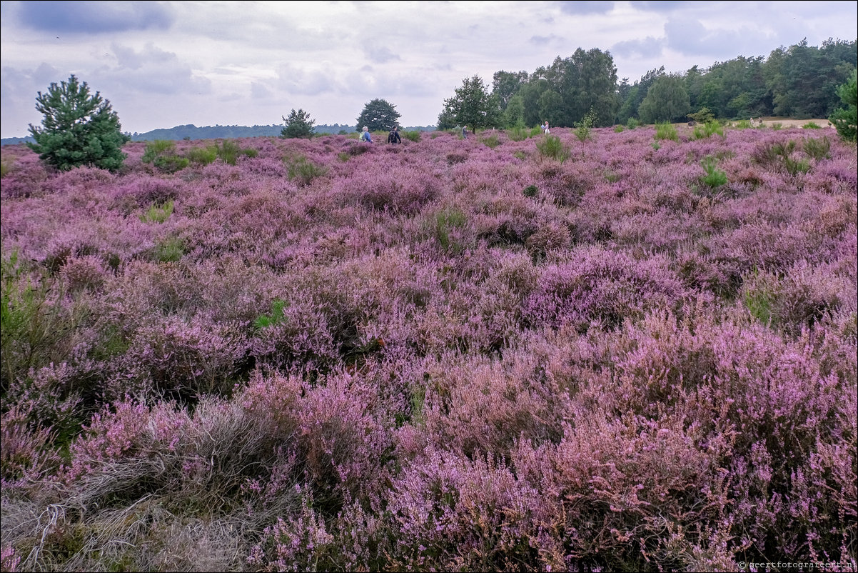 posbank heide