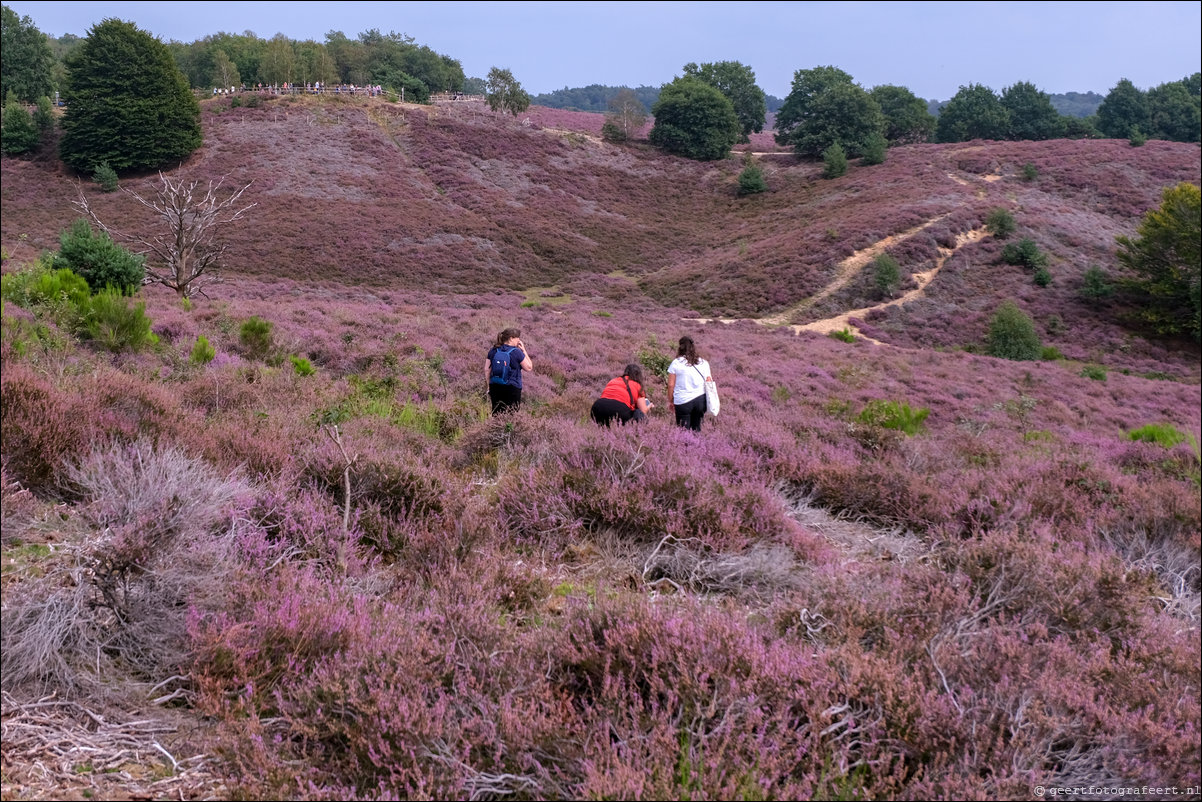 posbank heide