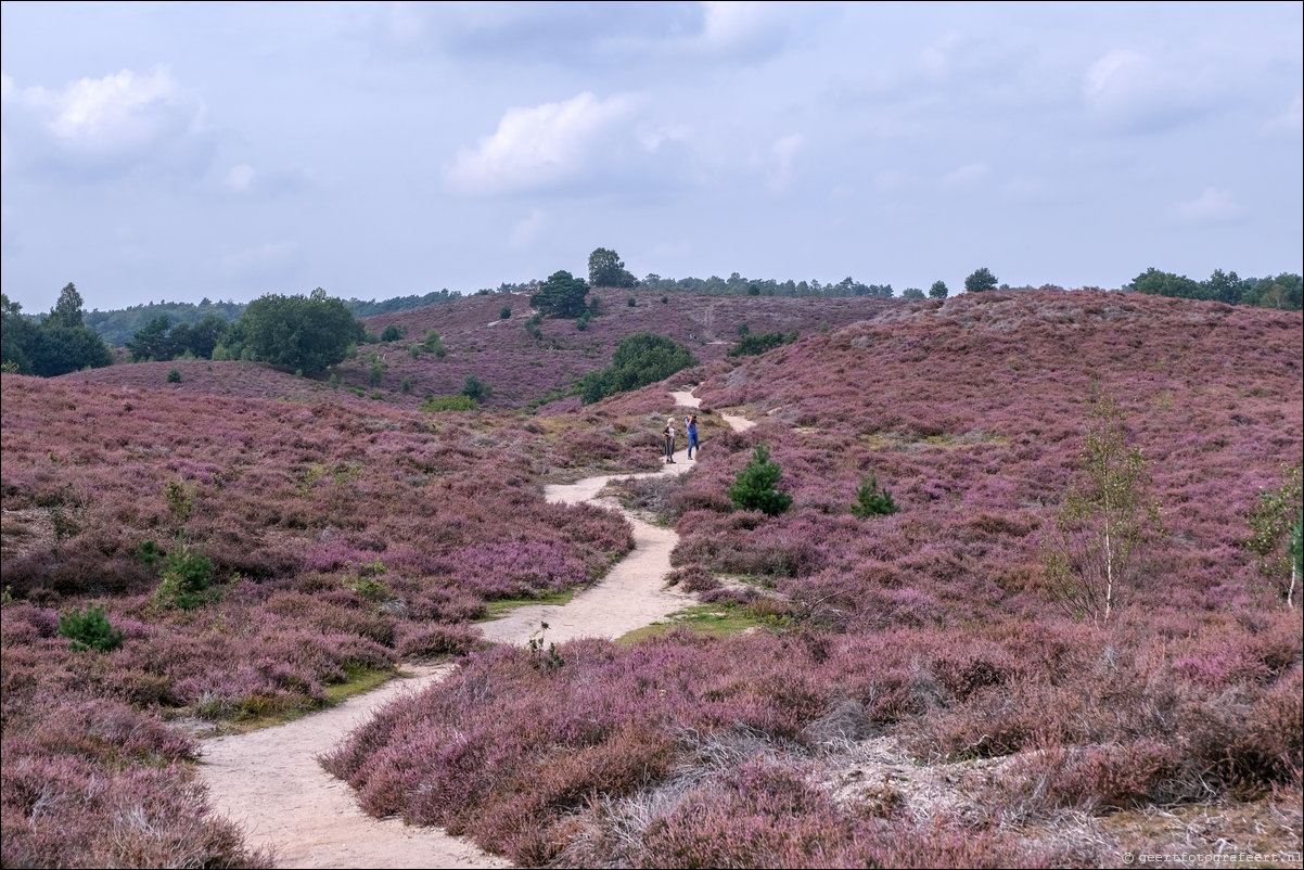 posbank heide