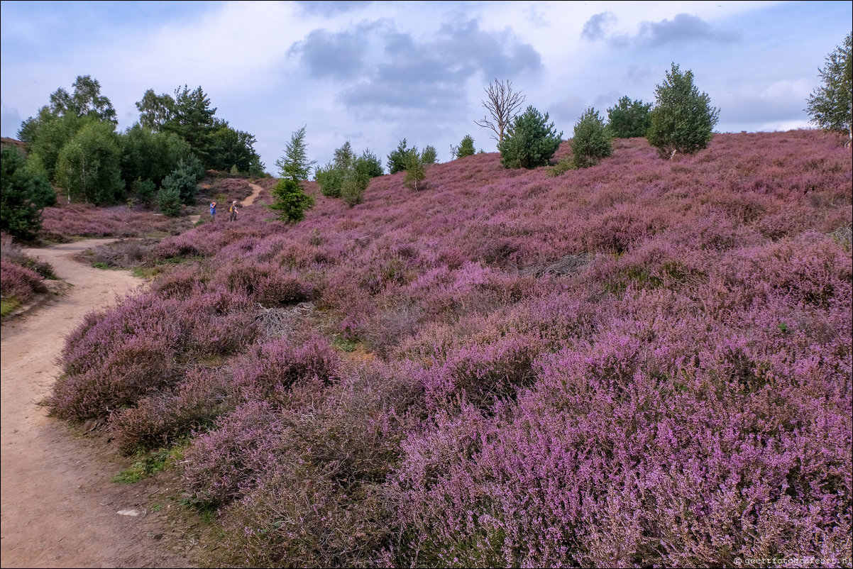 posbank heide