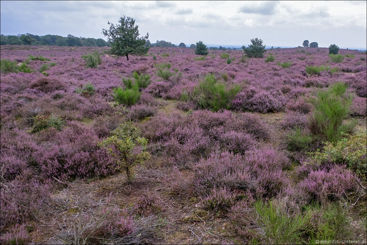 posbank heide