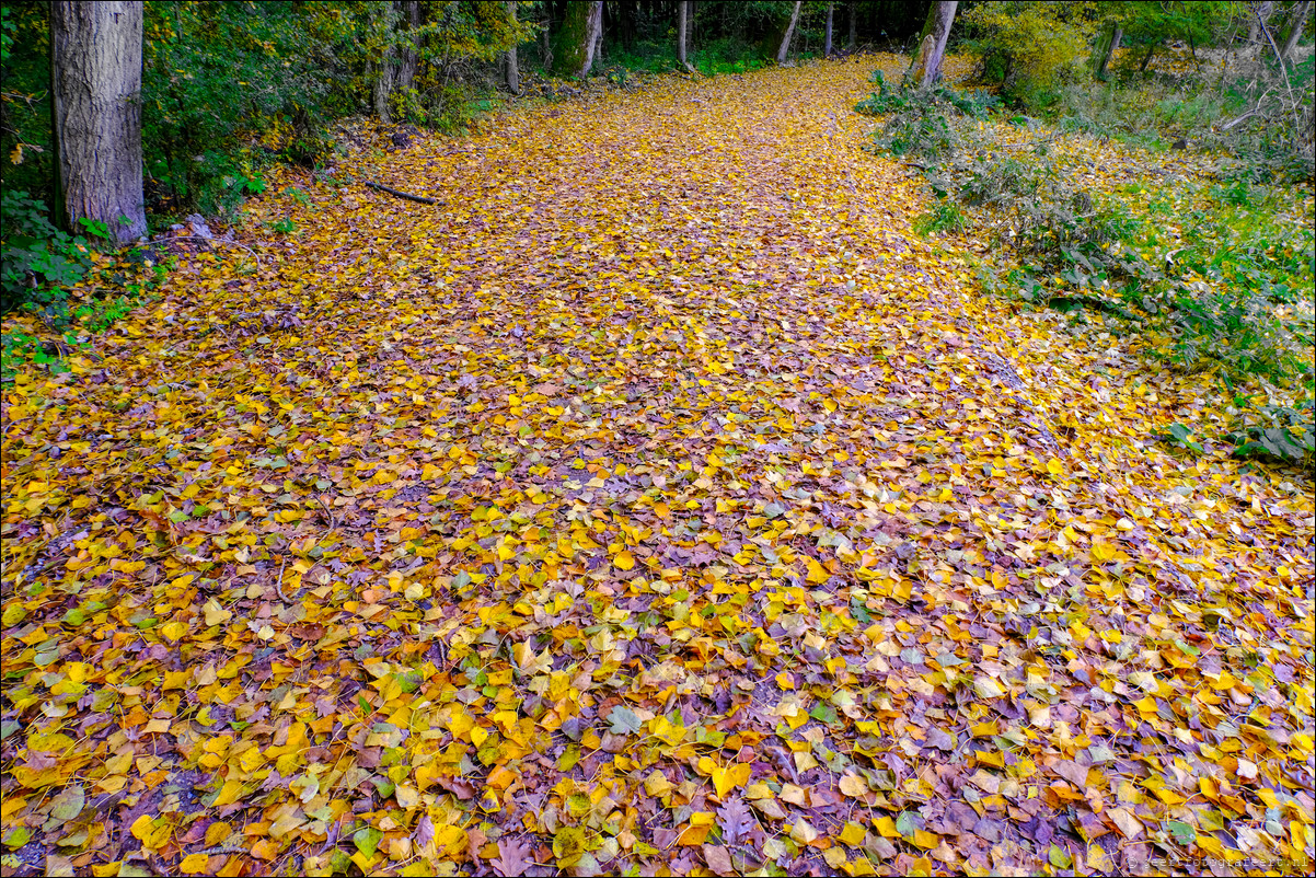 herfst