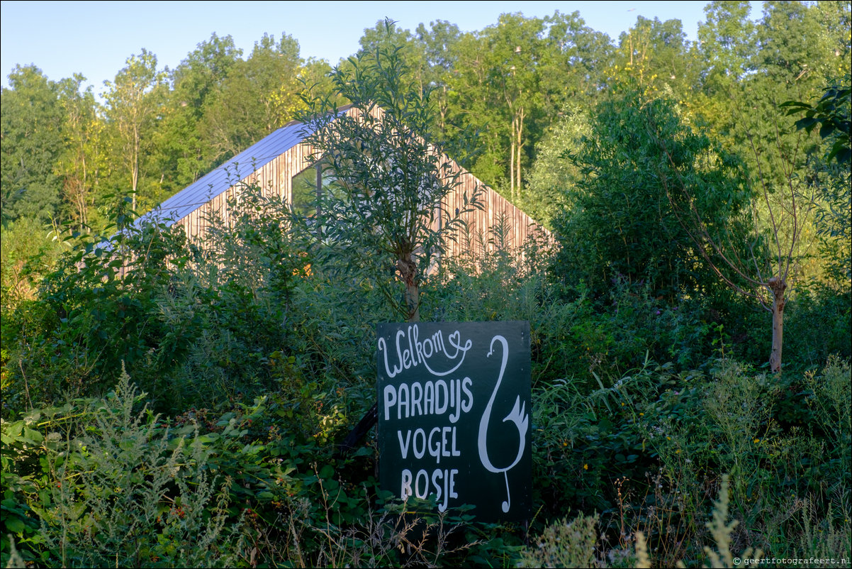 Paradijsvogelweg Almere Hout