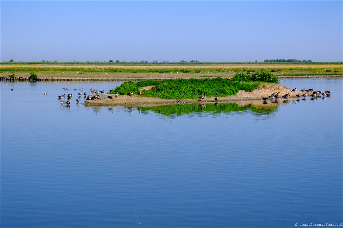 Oostvaardersplassen