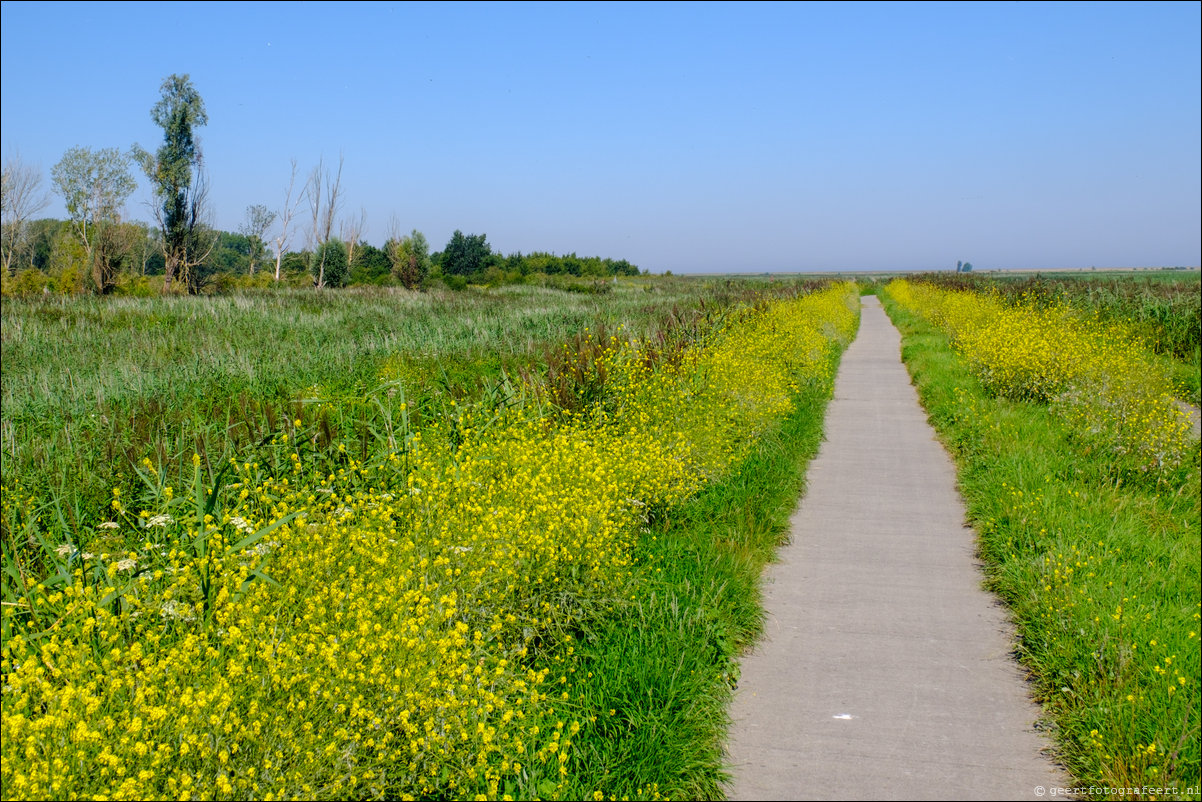 Jan van den Boschpad Oostvaardersplassen