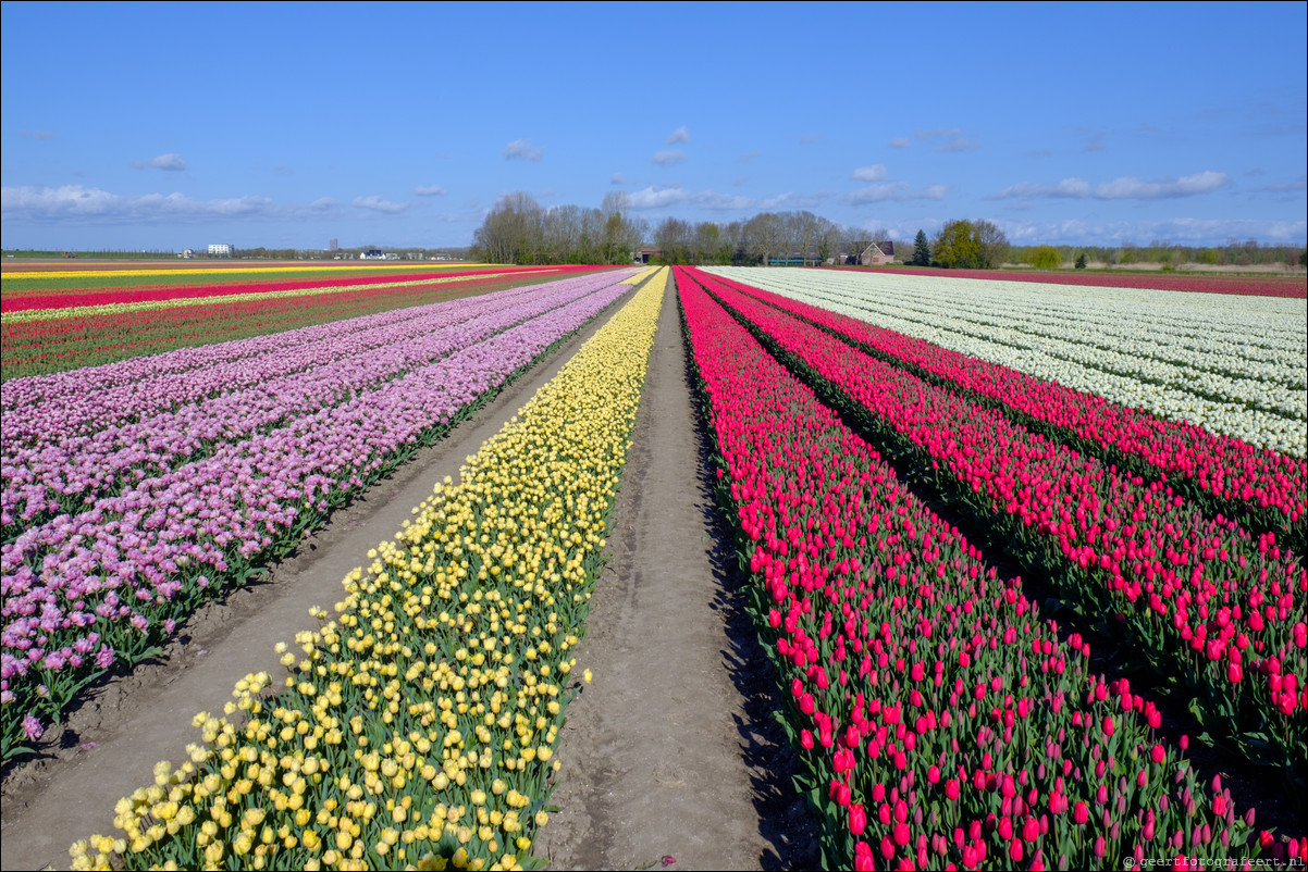 naarden