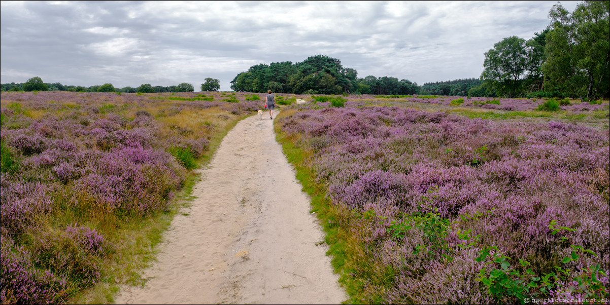 Bussumerheide