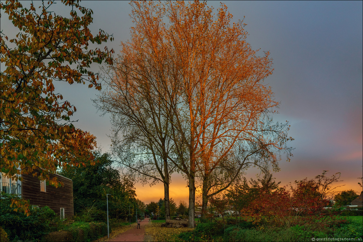 herfst