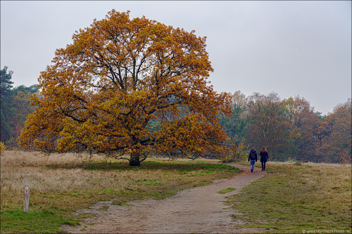 herfst