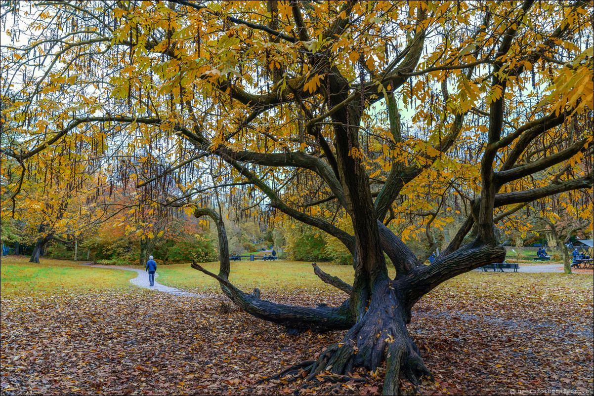 herfst