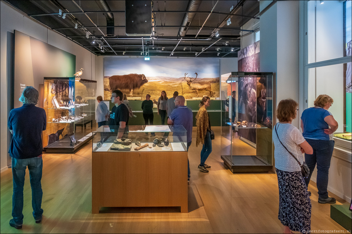 Leiden Museum voor Oudheden - Doggerland