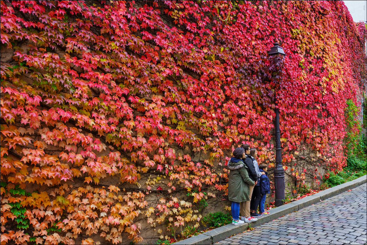 Parijs Montmartre