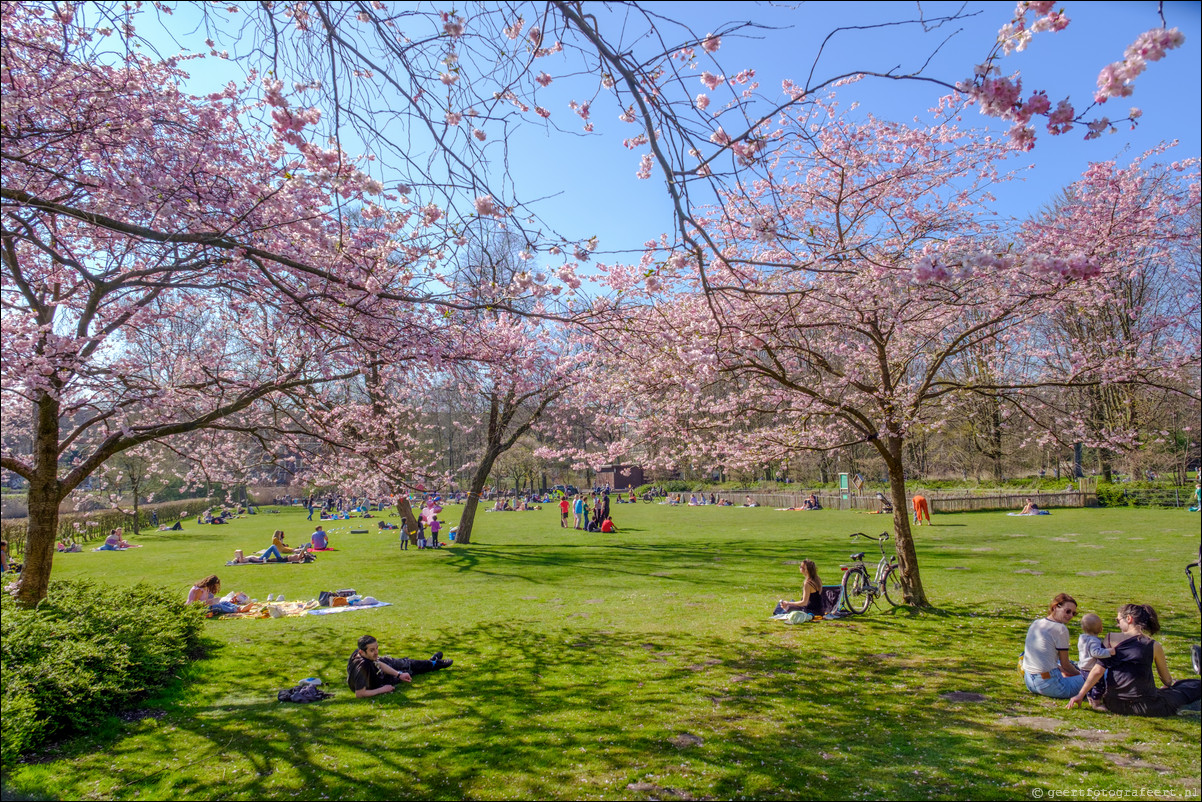 Amsterdam Erasmuspark