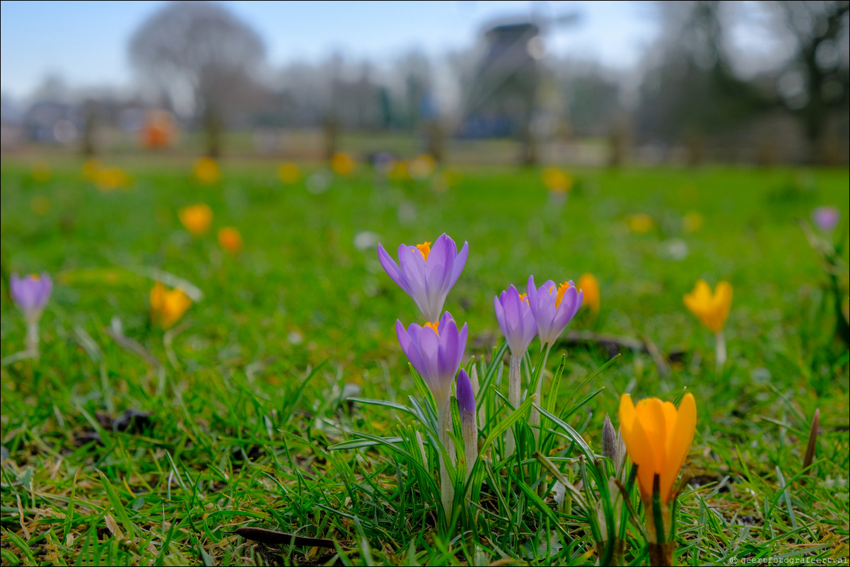 Amstelpark Amsterdam