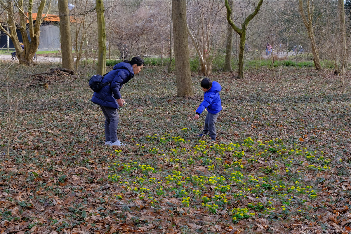 Amstelpark Amsterdam