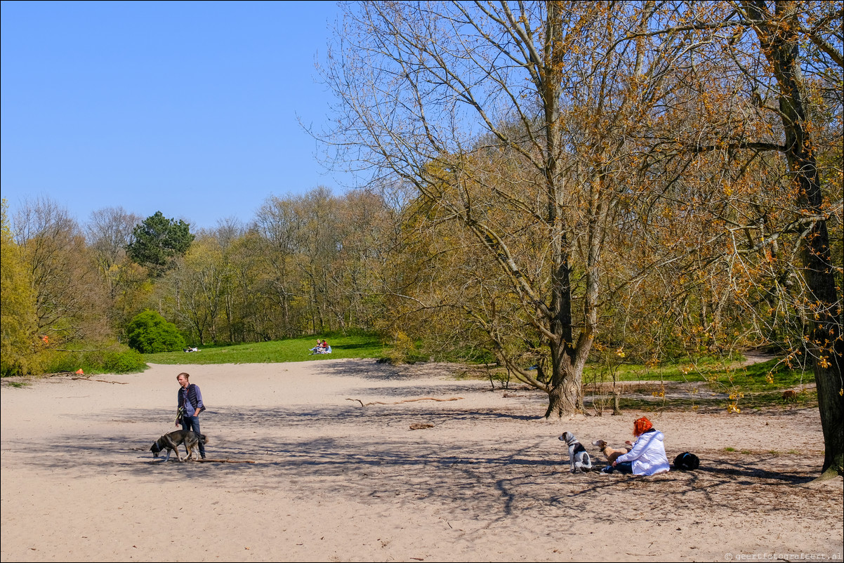 Parkentocht Den Haag Scheveningse Bosjes