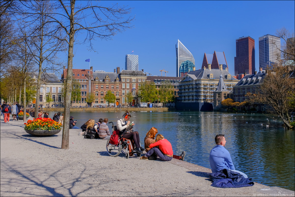 Parkentocht Den Haag Hofvijver