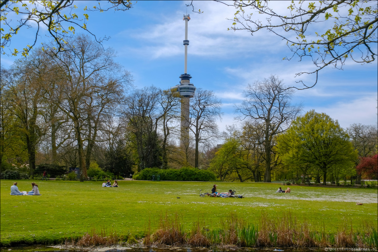 Parkentocht Rotterdam