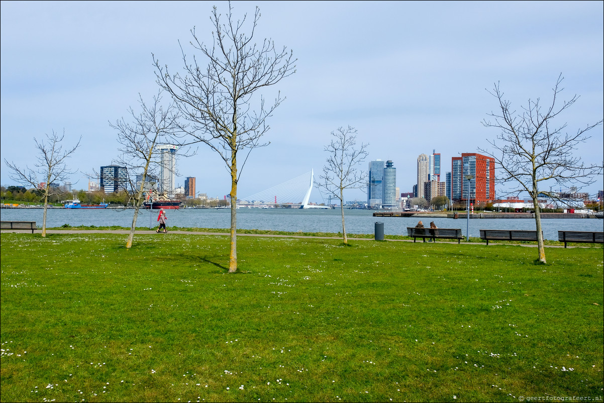 Parkentocht Rotterdam