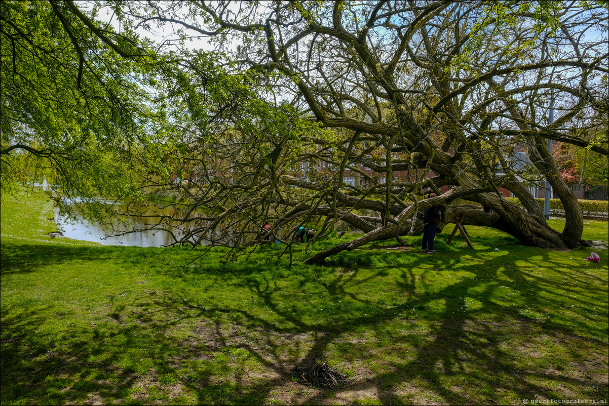 Parkentocht Rotterdam