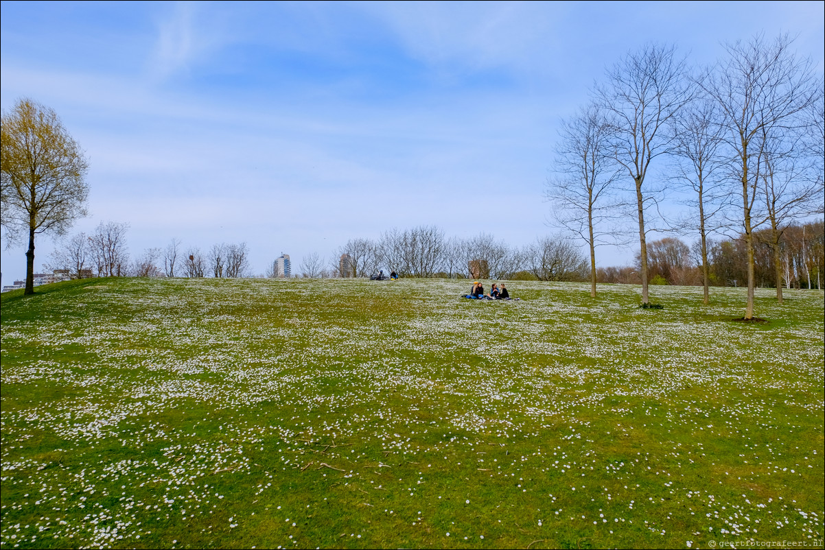 Parkentocht Rotterdam