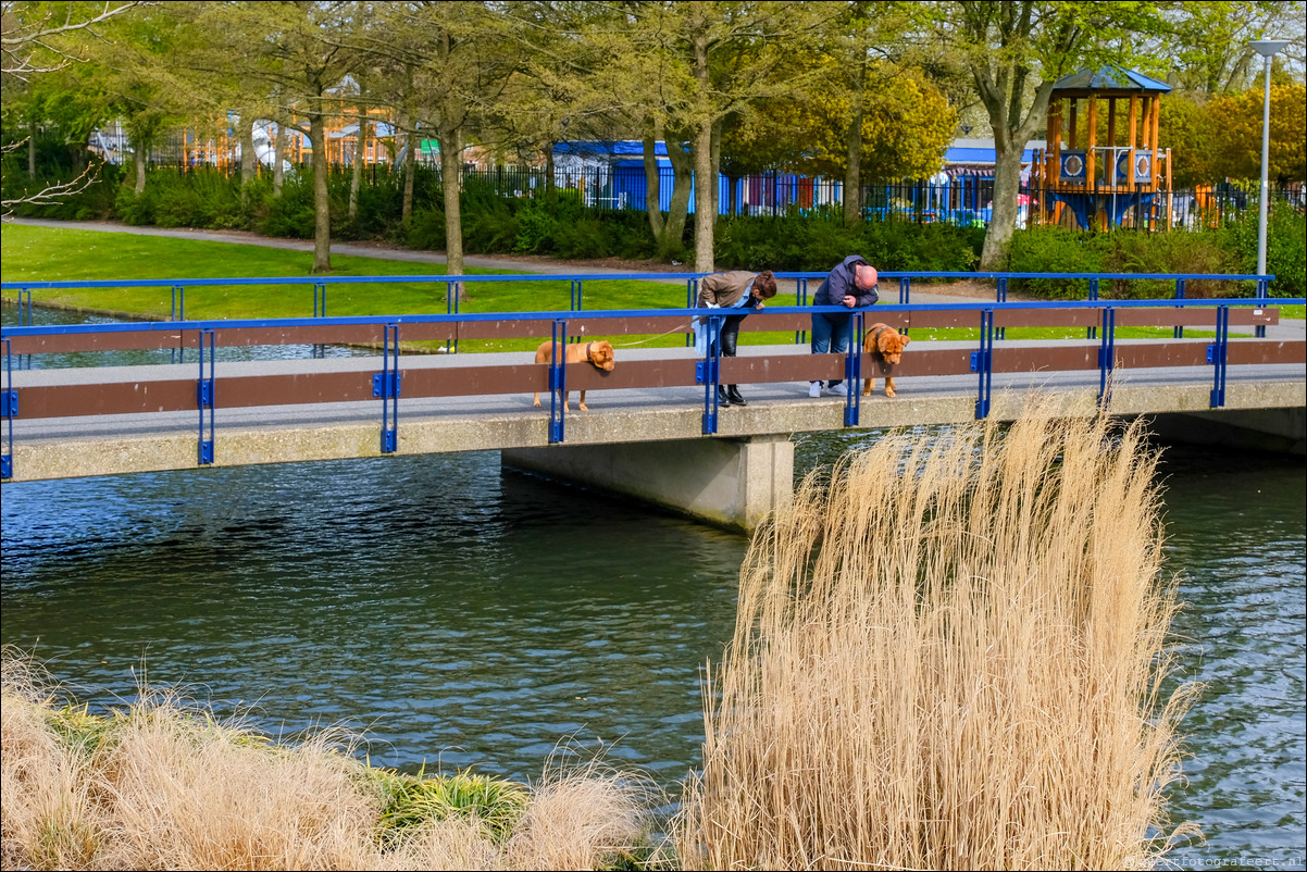 Parkentocht Rotterdam