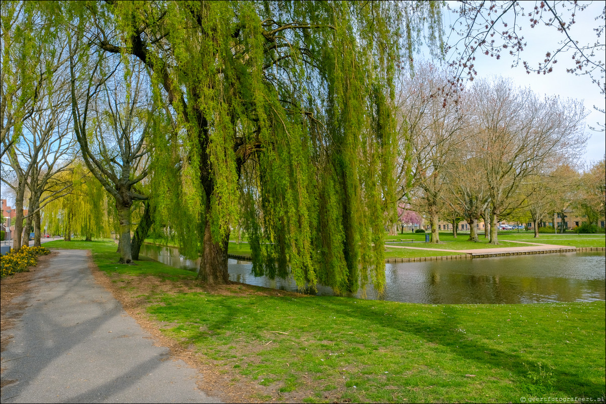 Parkentocht Rotterdam