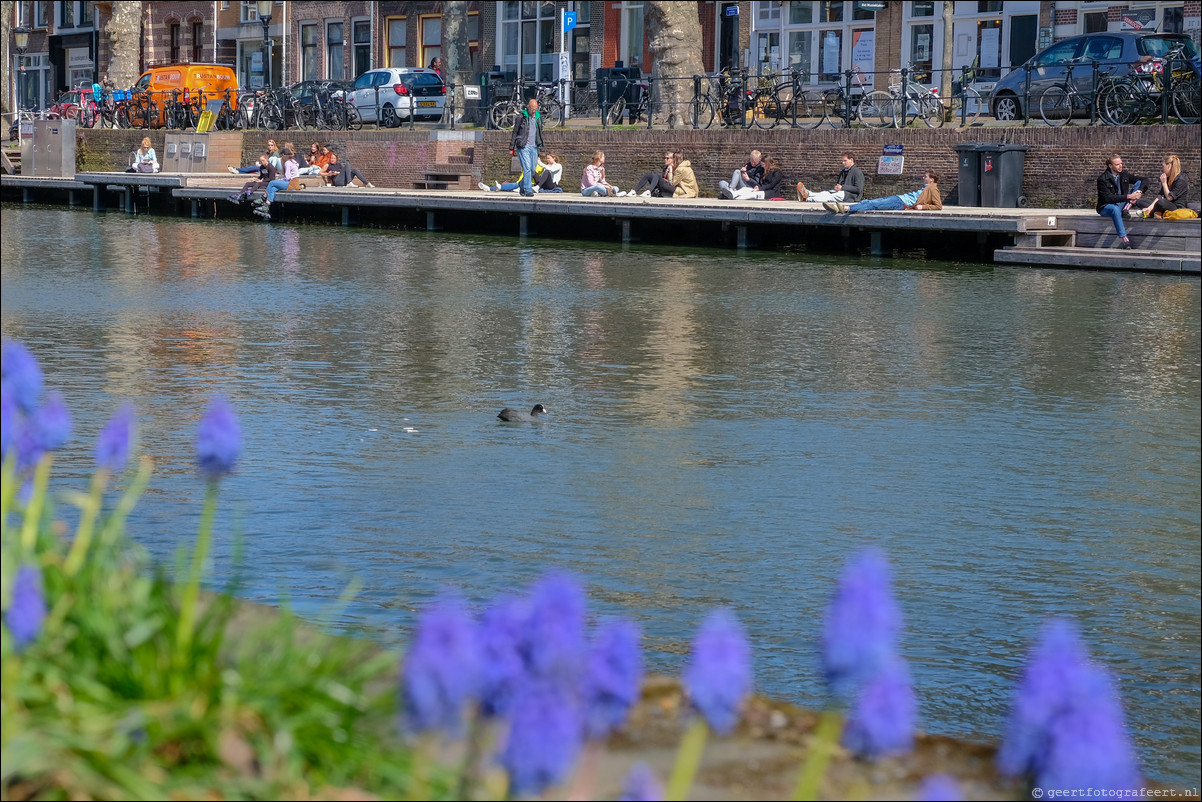 Parkentocht Utrecht