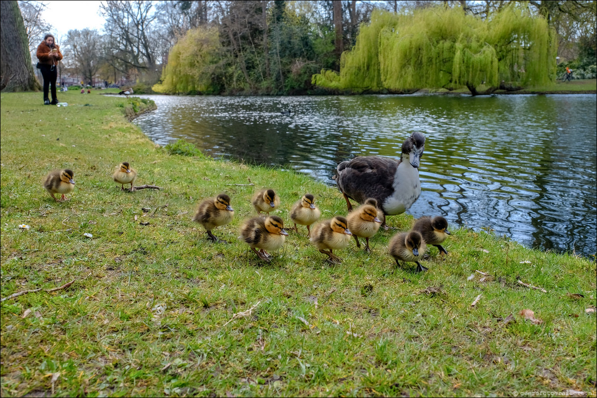 Parkentocht Utrecht