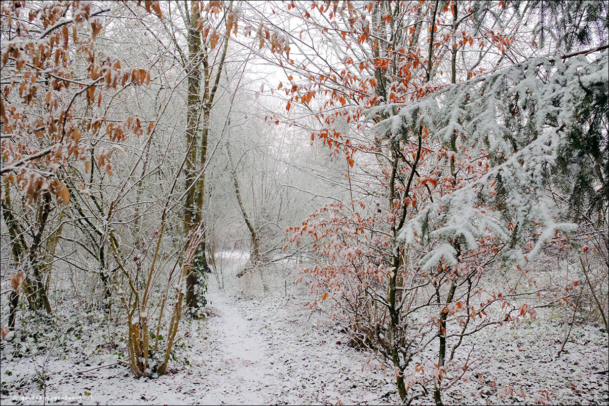 kwelbeek winter