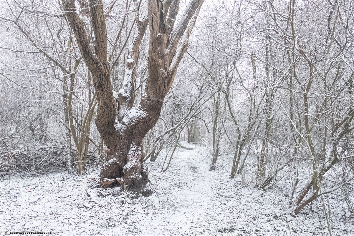 kwelbeek winter