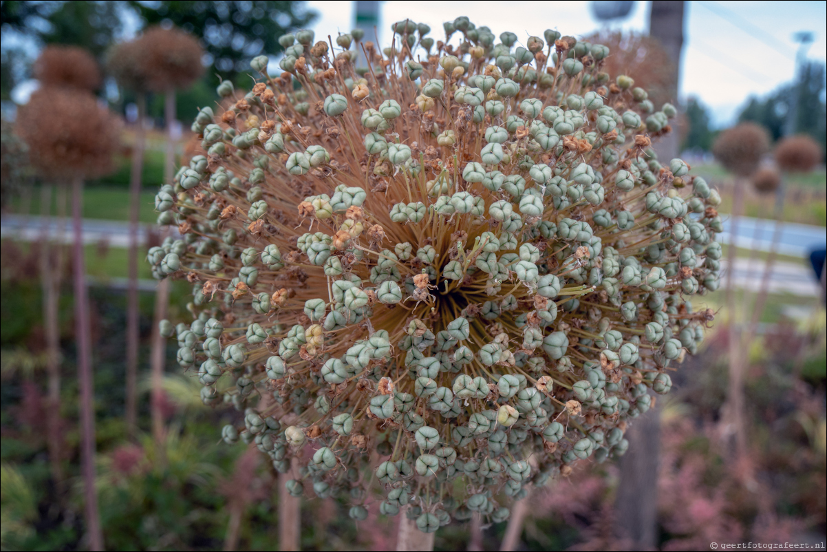 Floriade Almere