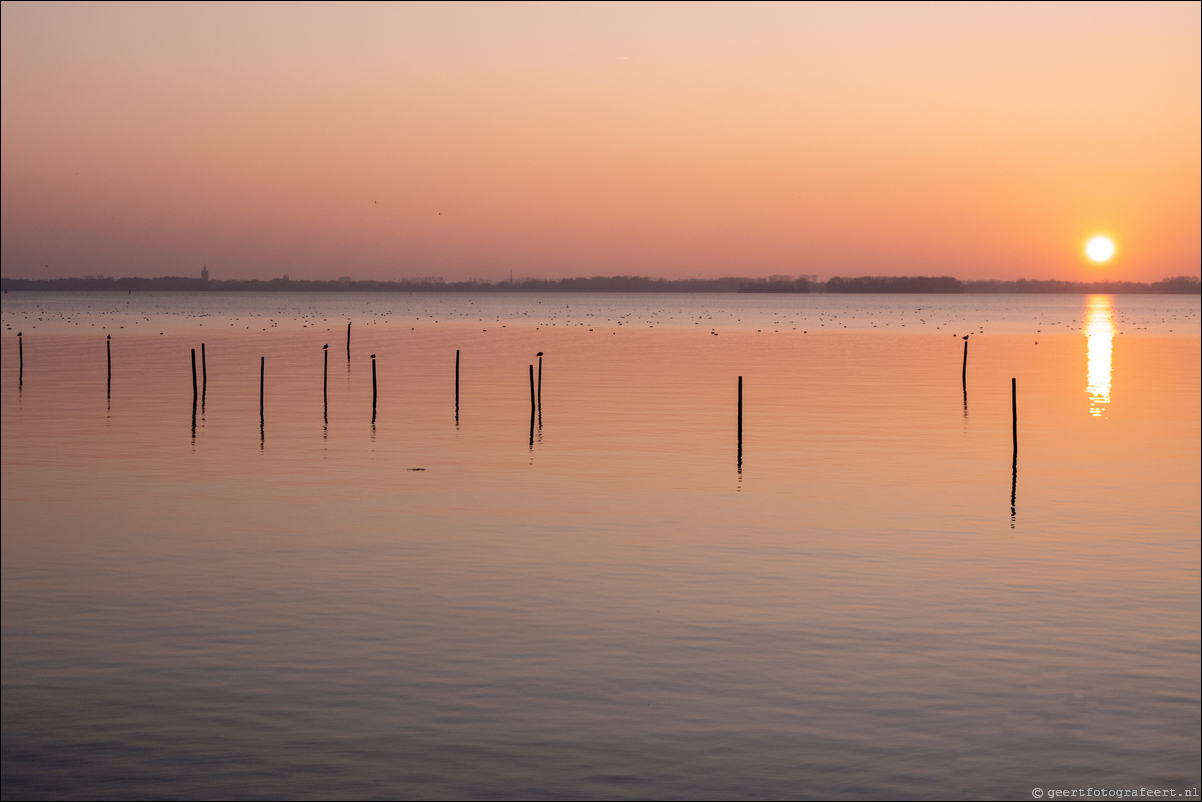 Gooimeer