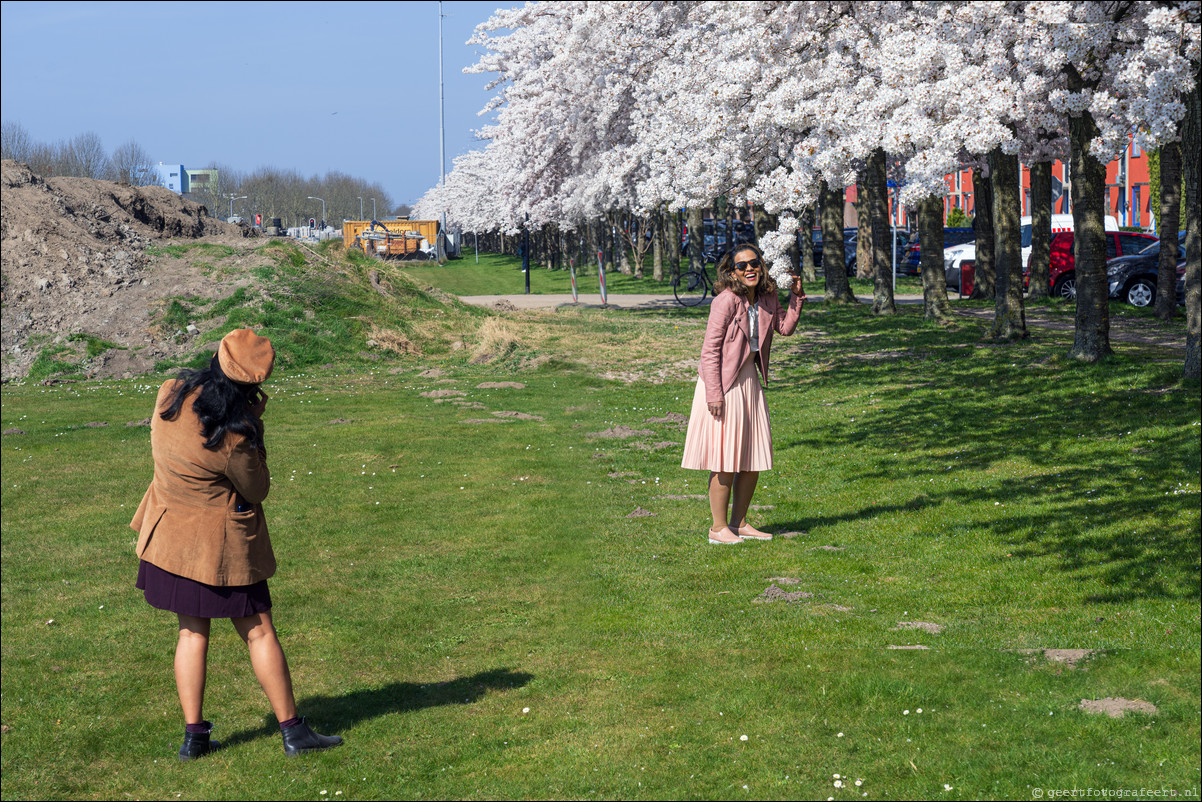 Almere Kersenbloesemfeest Terracottastraat Lente