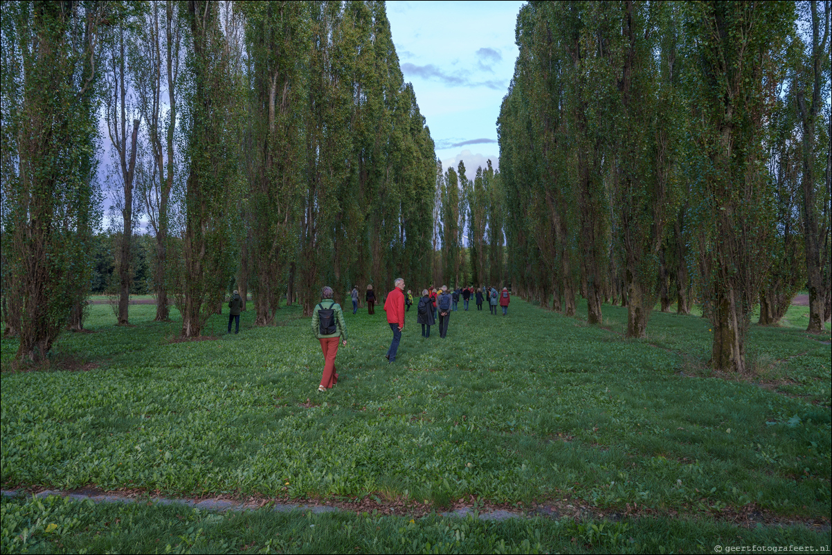 Land Art Bustour in Flevoland