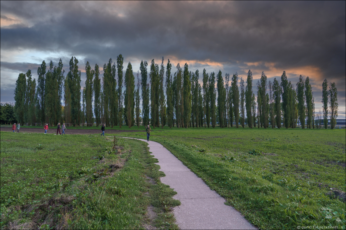 Land Art Bustour in Flevoland