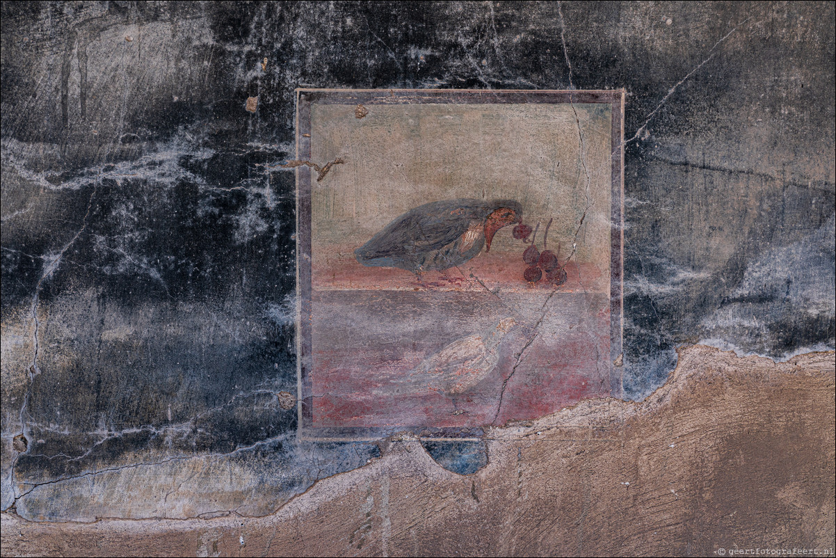 Herculaneum