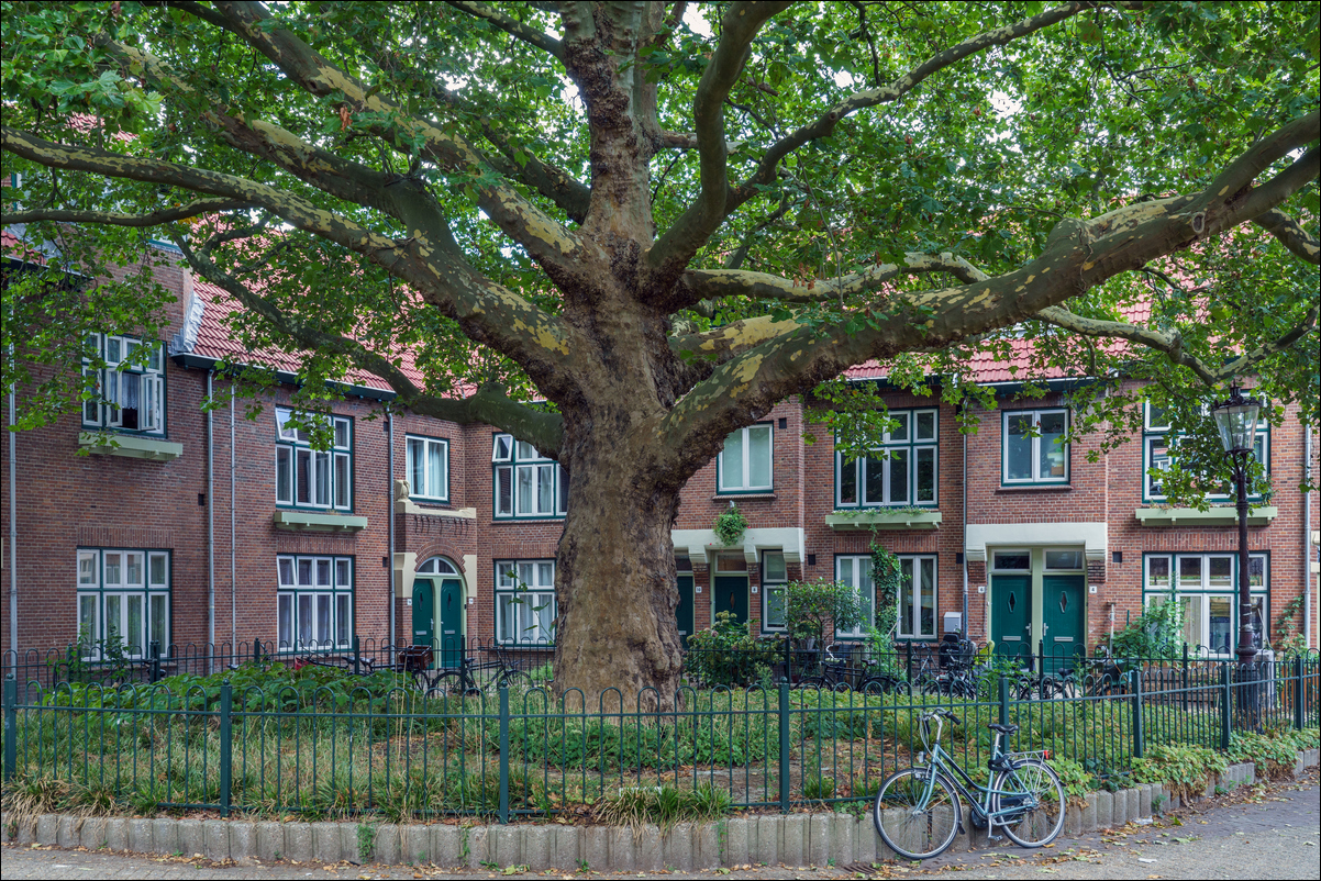 Amsterdam Vogelbuurt