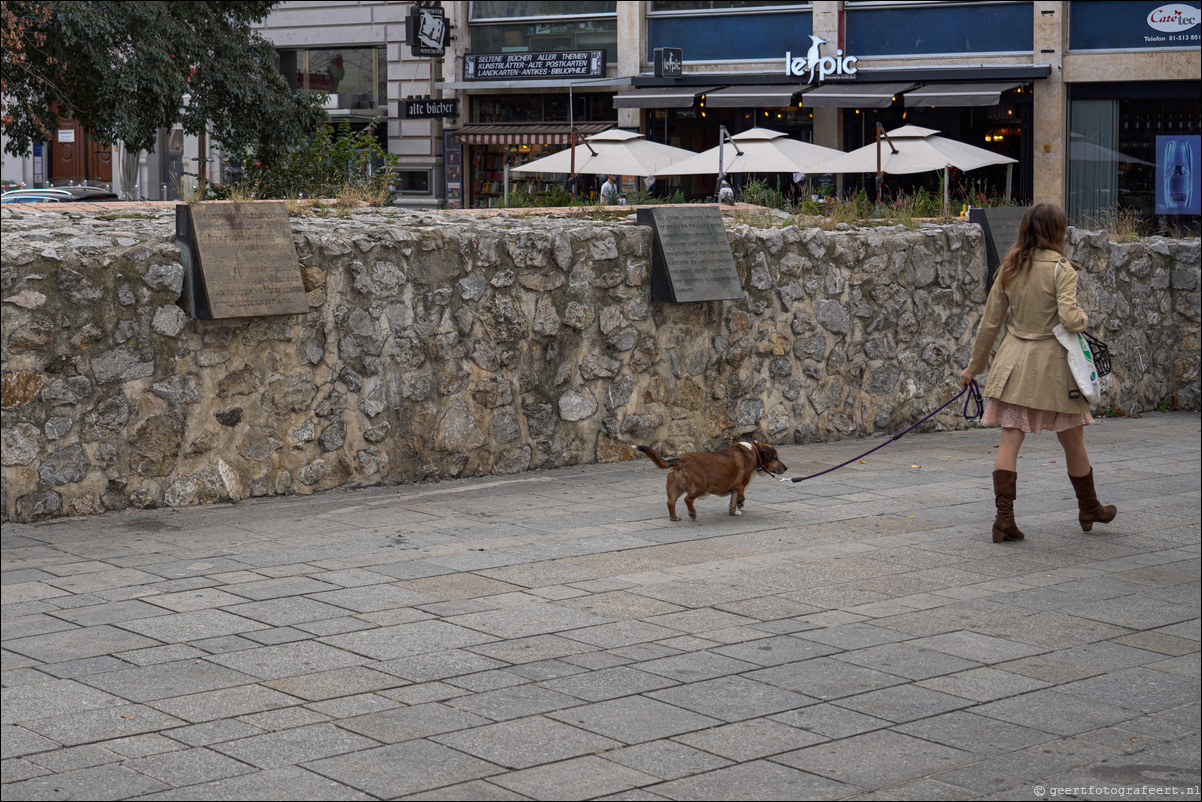 Wenen Dr.-Karl-Lueger-Platz