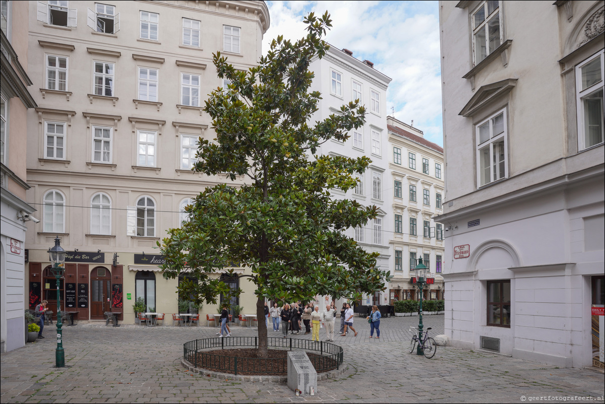 Wenen Desider-Friedmann-Platz