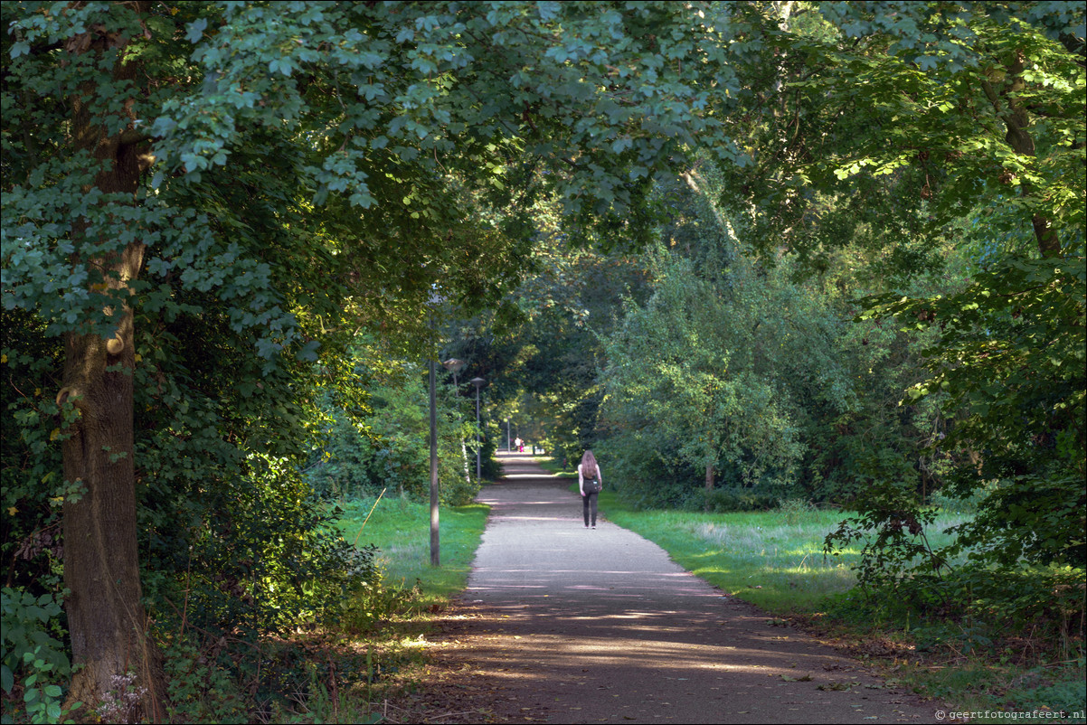 Amsterdam Buitenveldert en Zuidas