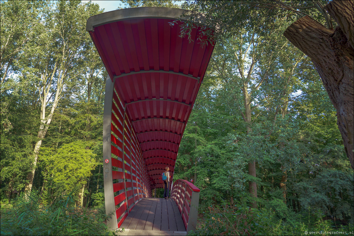 Amsterdam Buitenveldert en Zuidas