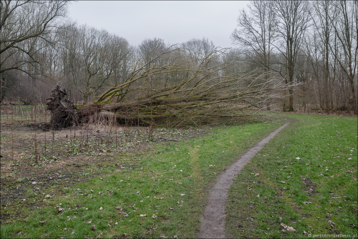 Bussumerheide en de Westerheide