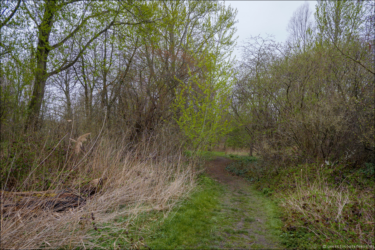 Bussumerheide en de Westerheide